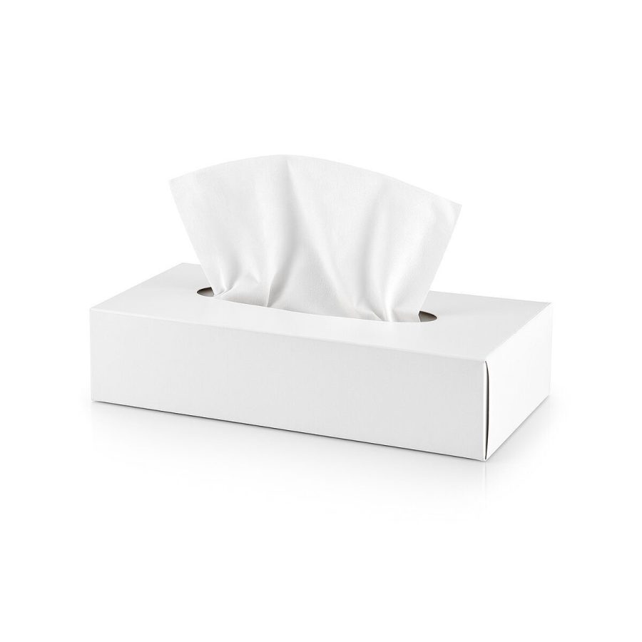 Kosmētikas salvetes N100, 2 kārtas, 21 × 20 cm Kosmētikas salvetes N100, 2 kārtas, 21 × 20 cm